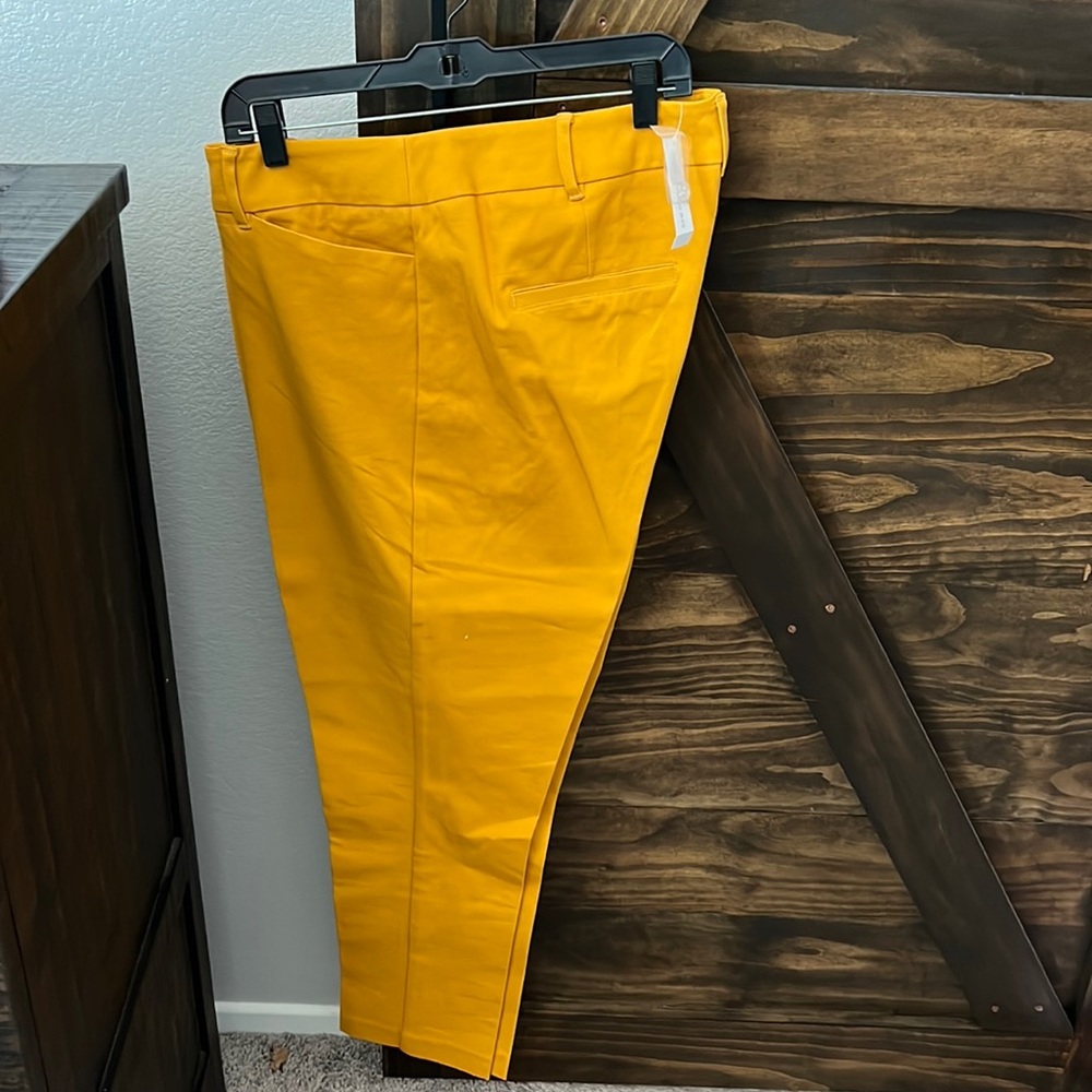 Brand new, New York and company pants. Size 18